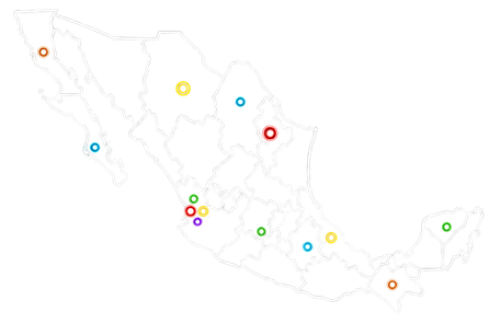 Mapa de México con cobertura de licitaciones en los 32 estados